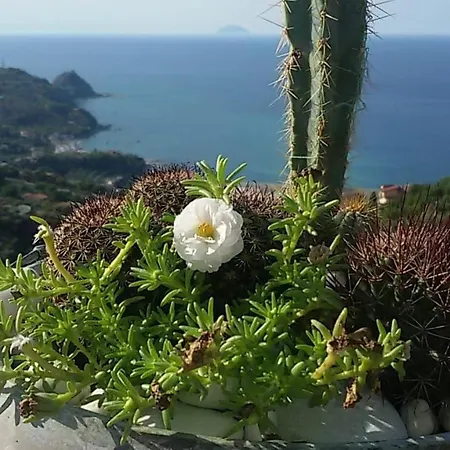 Villa Tramonto Capo D'orlando Naso